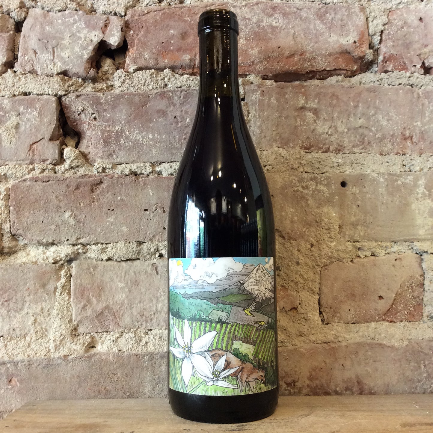 Kelley Fox Pinot Noir Mirabel Dundee Hills 2022 750ml