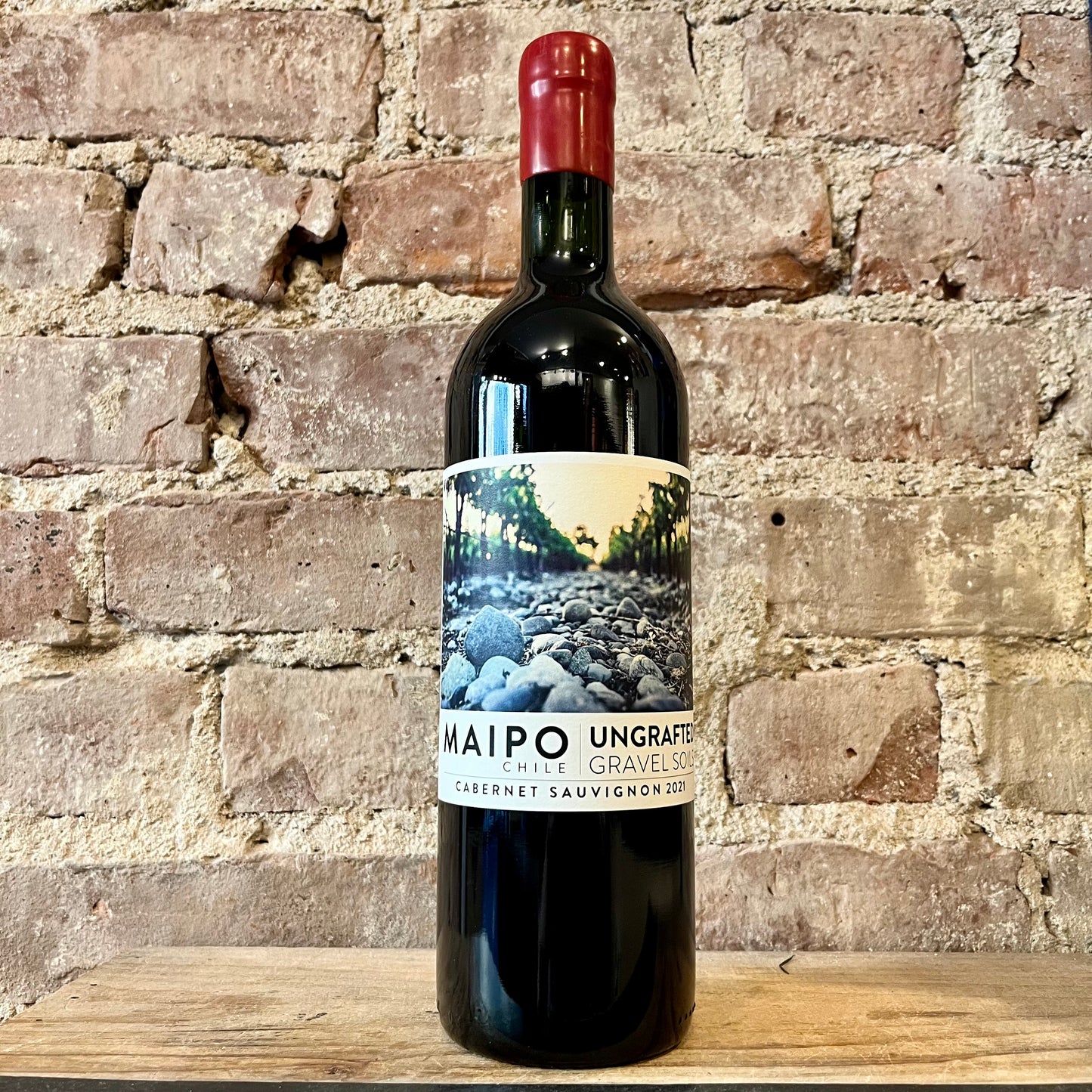 Ungrafted Valle del Maipo Cabernet Sauvignon 2021 750mL