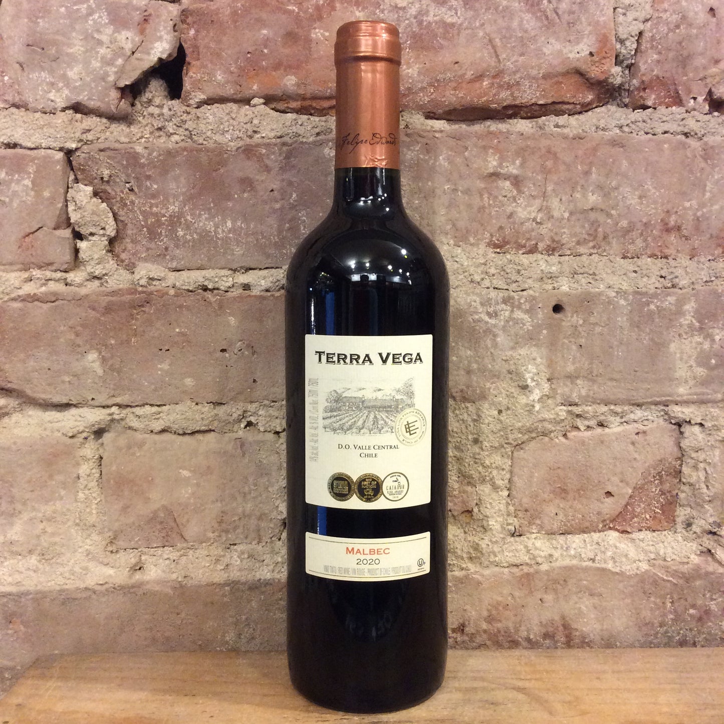 Terra Vega Valle Central Malbec 2021