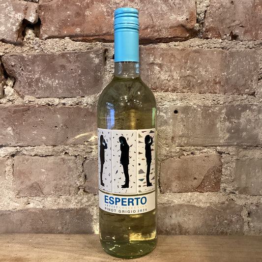 Esperto Friuli Pinot Grigio 2024 750mL
